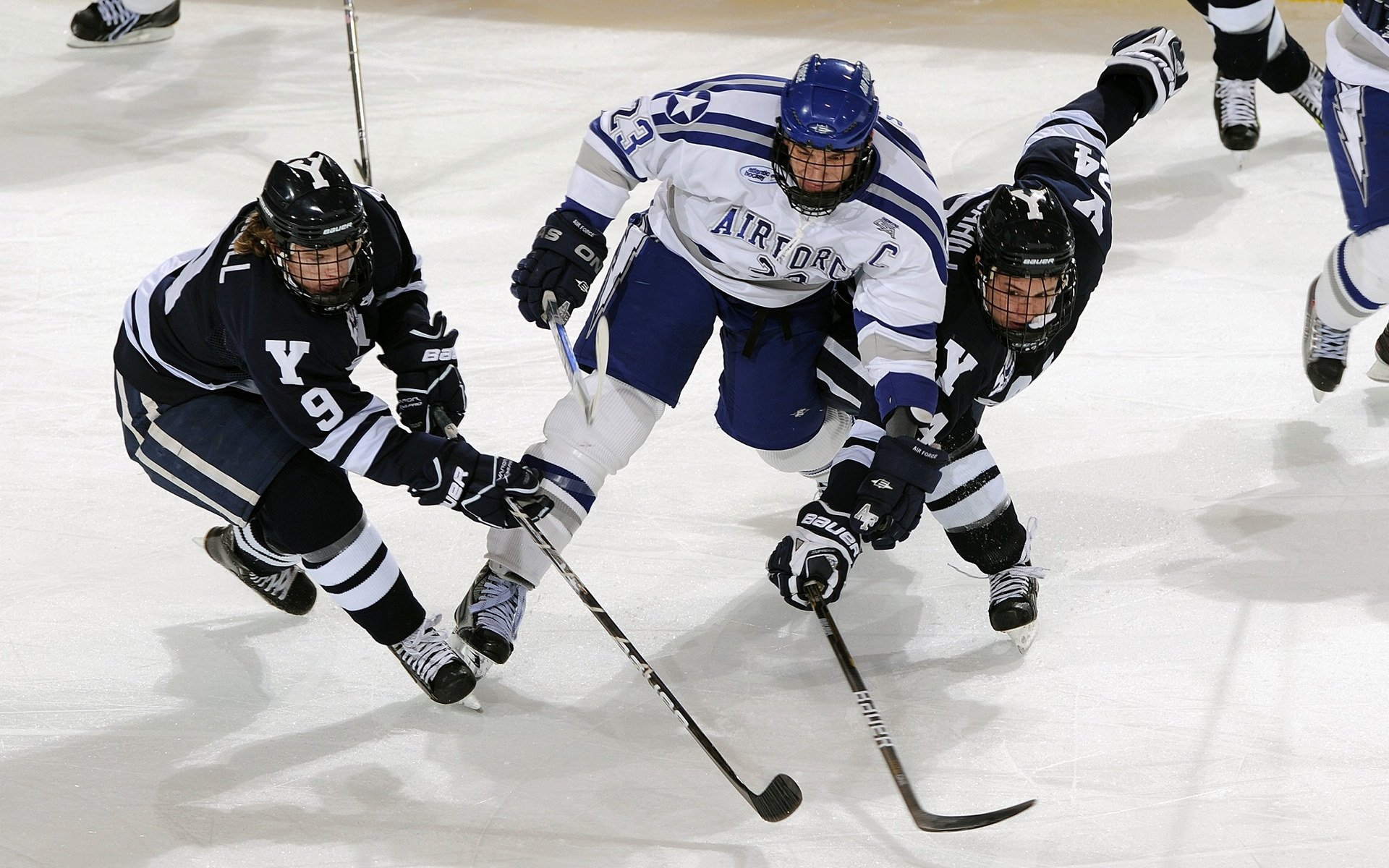 德国马术队在2024年国际马术联合会障碍赛世界巡回赛中获得团体第四名，展现出色表现。
